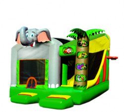 Jungle Adventure 5 in 1