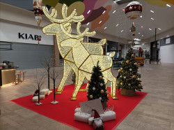 1 1732633713 Waterloo Moose Display - Illumination