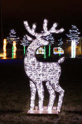 CD20Holidays20Displays202021 11 1732633854 Reindeer Display - Illumination