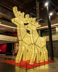 Waterloo Moose Display - Illumination