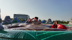 POVHWM 1753112941 Human Whack-A-Mole